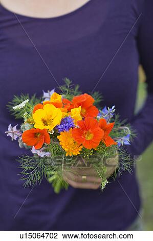 Stock Image - Farming vegetables and fruits. Fotosearch