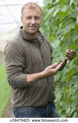 Stock Image - Farming vegetables and fruits. Fotosearch
