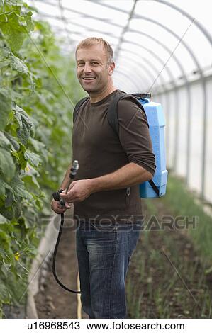 Stock Image - Farming vegetables and fruits. Fotosearch