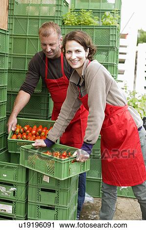 Farming vegetables and fruits View Large Photo Image Stock Image - Farming vegetables and fruits. Fotosearch