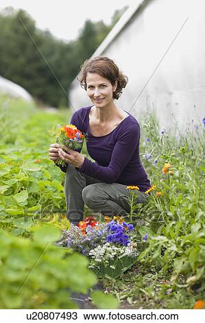 Farming vegetables and fruits View Large Photo Image Stock Image - Farming vegetables and fruits. Fotosearch