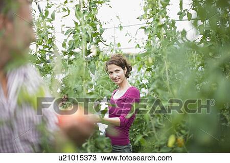 Stock Image - Farming vegetables and fruits. Fotosearch