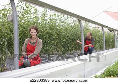 Stock Image - Farming vegetables and fruits. Fotosearch