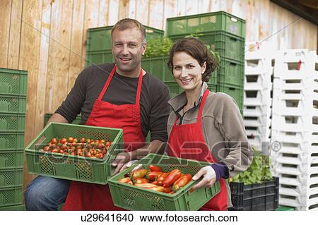 Stock Image - Farming vegetables and fruits. Fotosearch