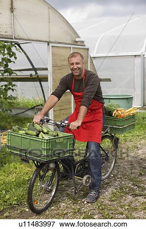 Farming vegetables and fruits View Large Photo Image Stock Photo - Farming vegetables and fruits. Fotosearch