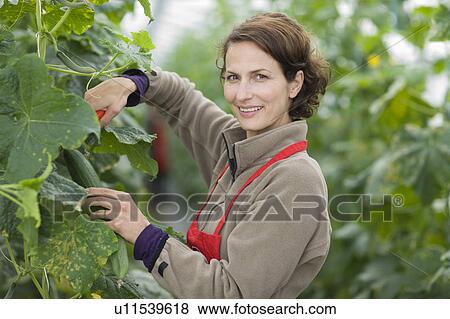 Stock Photo - Farming vegetables and fruits. Fotosearch