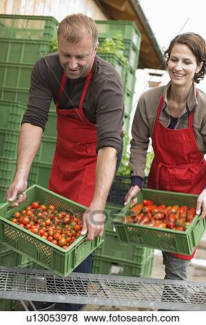 Stock Photo - Farming vegetables and fruits. Fotosearch