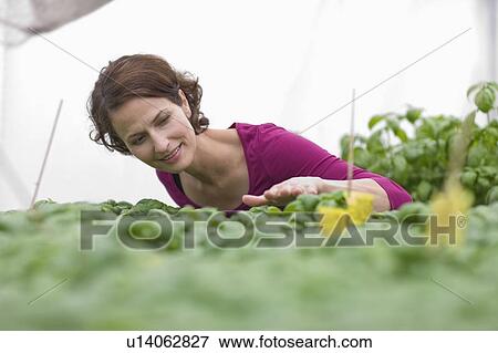 Stock Photo - Farming vegetables and fruits. Fotosearch