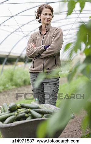 Farming vegetables and fruits View Large Photo Image Stock Photo - Farming vegetables and fruits. Fotosearch