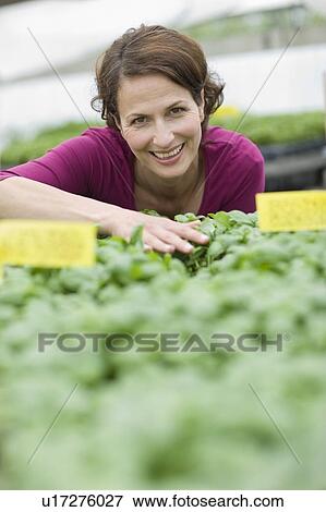 Farming vegetables and fruits View Large Photo Image Stock Photo - Farming vegetables and fruits. Fotosearch