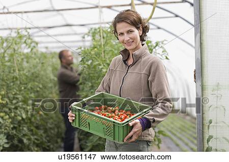 Stock Photo - Farming vegetables and fruits. Fotosearch