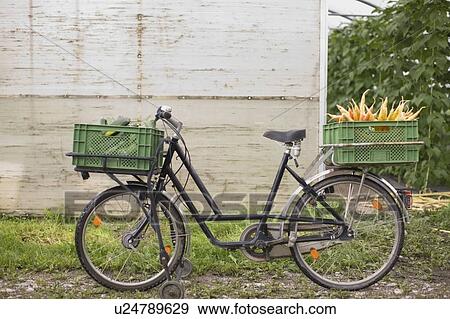 Farming vegetables and fruits View Large Photo Image Stock Photo - Farming vegetables and fruits. Fotosearch