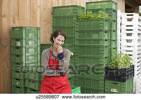 Stock Photo - Farming vegetables and fruits. Fotosearch