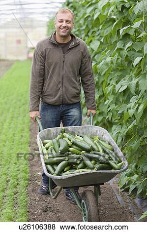 Farming vegetables and fruits View Large Photo Image Stock Photo - Farming vegetables and fruits. Fotosearch