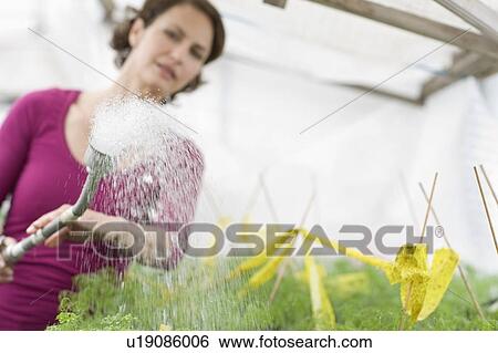 Farming vegetables and fruits View Large Photo Image Stock Photograph - Farming vegetables and fruits. Fotosearch