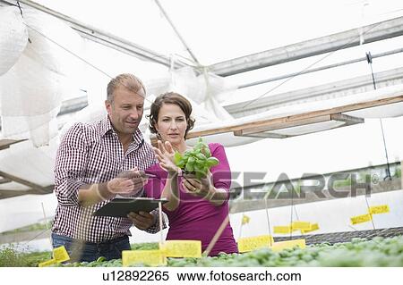 Farming vegetables and fruits View Large Photo Image Stock Photography - Farming vegetables and fruits. Fotosearch