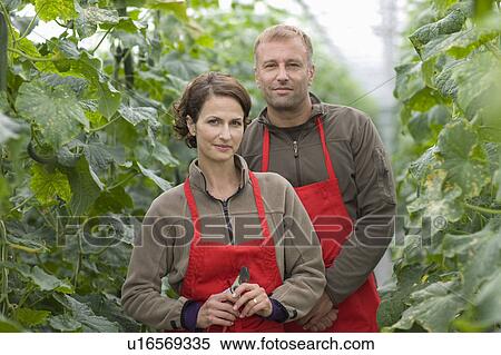 Farming vegetables and fruits View Large Photo Image Stock Photography - Farming vegetables and fruits. Fotosearch