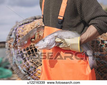 Fisherman holding fish in harbour View Large Photo Image Stock Photo - Fisherman holding fish in harbour. Fotosearch
