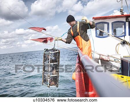 Stock Photograph - Fisherman pulling lobster pot with crabs. Fotosearch