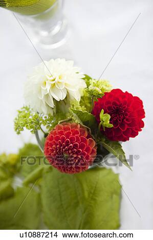 Flowers on a table View Large Photo Image Picture - Flowers on a table. Fotosearch