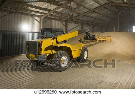 Stock Image - Forklift truck shoveling grain in store. Fotosearch