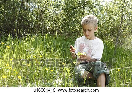 Free Time in the Nature View Large Photo Image Stock Image - Free Time in the Nature. Fotosearch