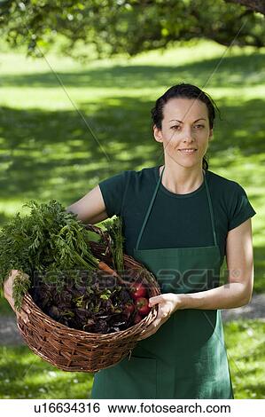 Gardener with vegetables in basket View Large Photo Image Stock Photograph - Gardener with vegetables in basket. Fotosearch