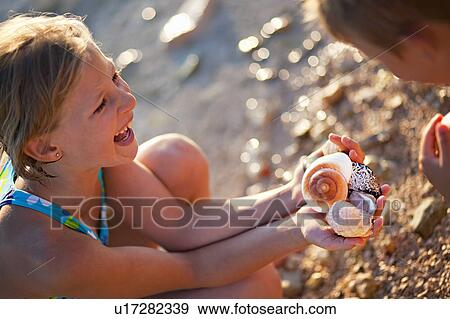 Girl finding shells at the beach View Large Photo Image Stock Photo - Girl finding shells at the beach. Fotosearch