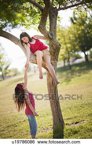 Girl helping friend climb tree View Large Photo Image Stock Photograph - Girl helping friend climb tree. Fotosearch