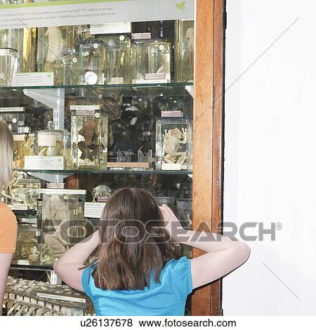 Girl looking at glass display cabinet View Large Photo Image Stock Photo - Girl looking at glass display cabinet. Fotosearch