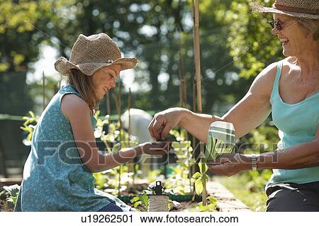 Grandmother handing girl seeds to plant View Large Photo Image Stock Image - Grandmother handing girl seeds to plant. Fotosearch
