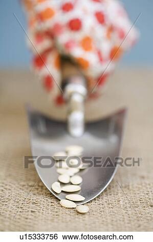 Stock Photograph - Hand holding garden trowel with seeds. Fotosearch