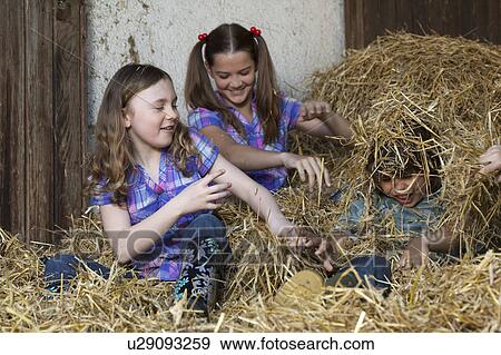 Kids fighting in hay View Large Photo Image Stock Photo - Kids fighting in hay. Fotosearch
