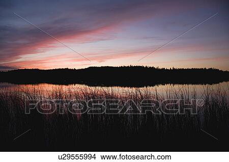 Lake and forest under red sky at dusk View Large Photo Image Picture - Lake and forest under red sky at dusk. Fotosearch