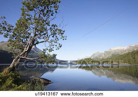 Stock Photo - Lake surrounded by the Alps. Fotosearch