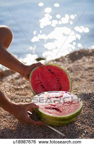 Man cutting watermelon at the beach View Large Photo Image Stock Photograph - Man cutting watermelon at the beach. Fotosearch