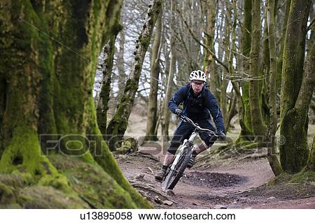 Man mountain biking in woods View Large Photo Image Stock Photo - Man mountain biking in woods. Fotosearch