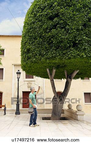 Man taking picture in city square View Large Photo Image Stock Photograph - Man taking picture in city square. Fotosearch