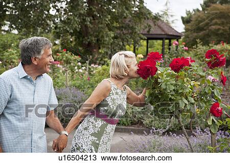 Stock Image - Mature couple in rose garden. Fotosearch