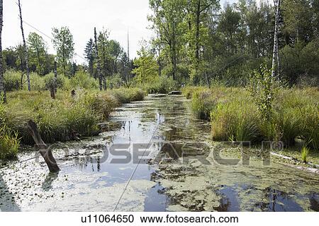 Moor landscape View Large Photo Image Stock Image - Moor landscape. Fotosearch