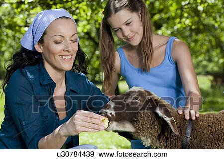 Stock Photo - Mother and daughter feeding sheep. Fotosearch