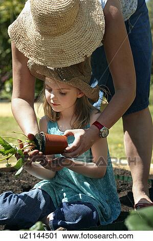 Mother and Daughter planting plants View Large Photo Image Stock Image - Mother and Daughter planting plants. Fotosearch