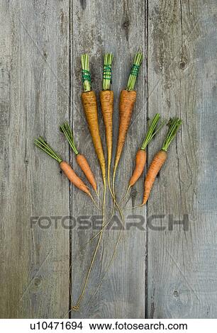 Picture - Organic carrots. Fotosearch