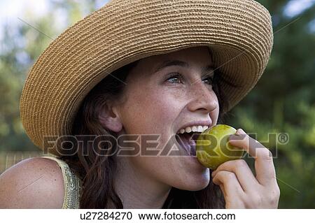 Organic Vegetable Home Garden View Large Photo Image Stock Image - Organic Vegetable Home Garden. Fotosearch