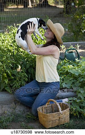 Organic Vegetable Home Garden View Large Photo Image Stock Photo - Organic Vegetable Home Garden. Fotosearch