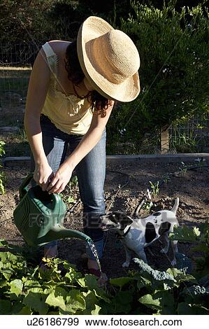 Stock Photo - Organic Vegetable Home Garden. Fotosearch