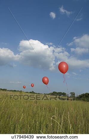 Red balloons in field View Large Photo Image Stock Photo - Red balloons in field. Fotosearch