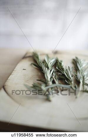 Stock Photography - Rosemary branch on cutting board. Fotosearch
