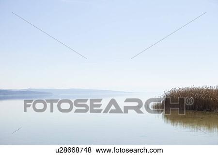 Sea with reed View Large Photo Image Stock Photo - Sea with reed. Fotosearch
