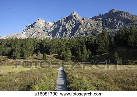 Small path heading into mountain forest View Large Photo Image Stock Image - Small path heading into mountain forest. Fotosearch